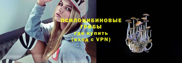 PSILOCYBIN Бугульма