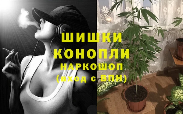 PSILOCYBIN Бугульма