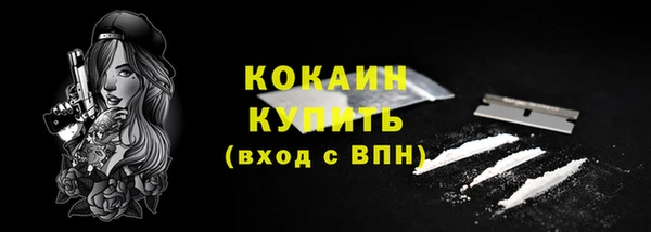 прущие крисы Бородино