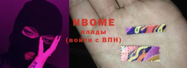 прущие крисы Бородино