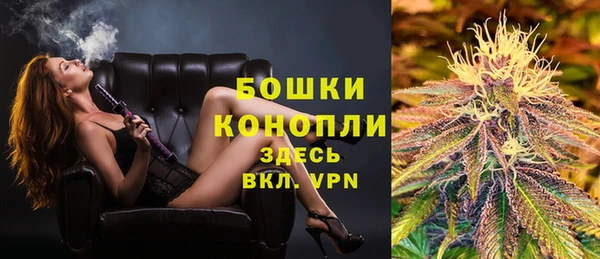 прущие крисы Бородино