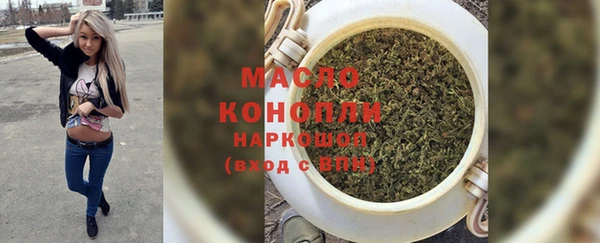 прущие крисы Бородино