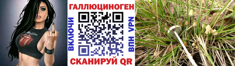 купить наркоту  Ангарск  Псилоцибиновые грибы MAGIC MUSHROOMS 